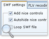 Convertir Vidéo FLV vers SWF flv en swf