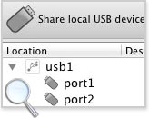 connect iphone over network