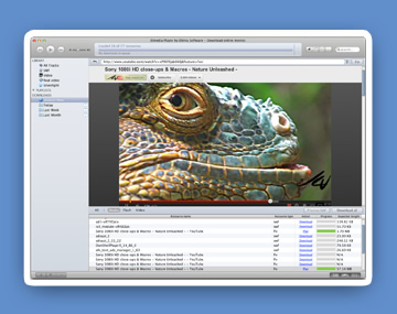 Elmedia Player