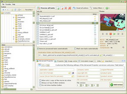 SFW Toolbox, convert SWF into AVI/GIF/JPEG, create Projector EXE, SWF converter, Advanced Projector, swf conversion