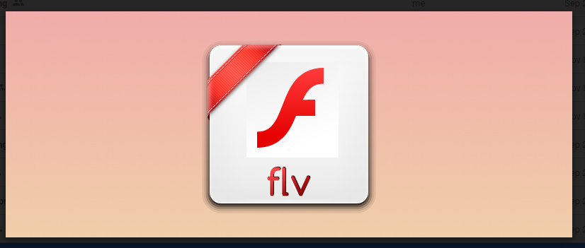 FLV format FLV format