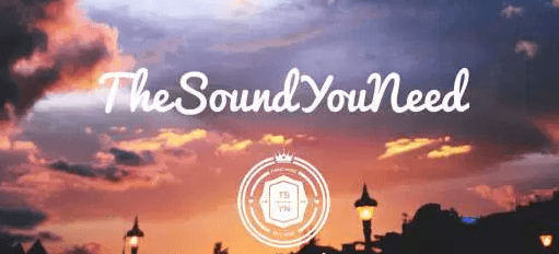 The Sound You Need The Sound You Need