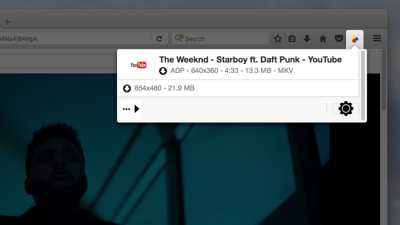 FLV downloader for Firefox FLV downloader for Firefox