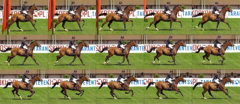 Watching Video Frame by Frame on Mac Watching Video Frame by Frame on Mac