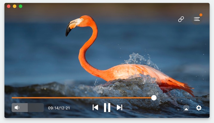 gym player for mac