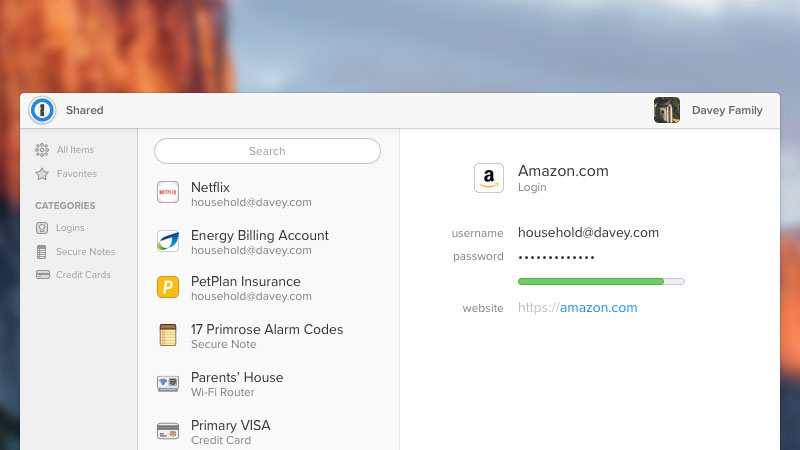 1Password 1Password
