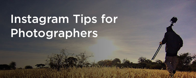 Tips for photographers Tips for photographers