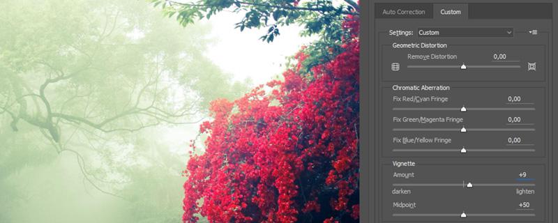 Add a vignette Add a vignette