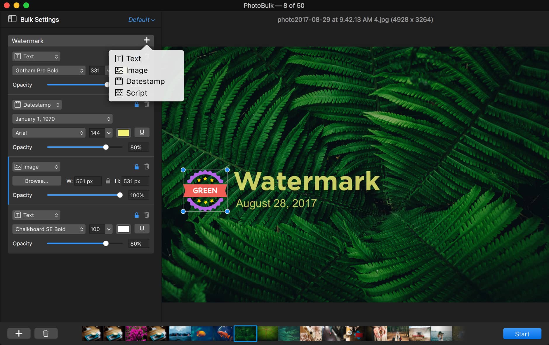 download photobulk