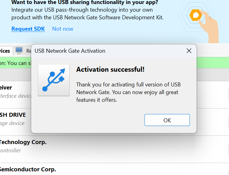 Attivata copia di USB Network Gate